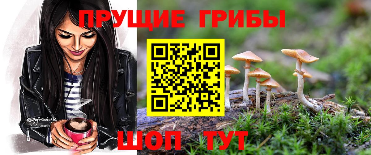 Галлюциногенные грибы мицелий Красногорск