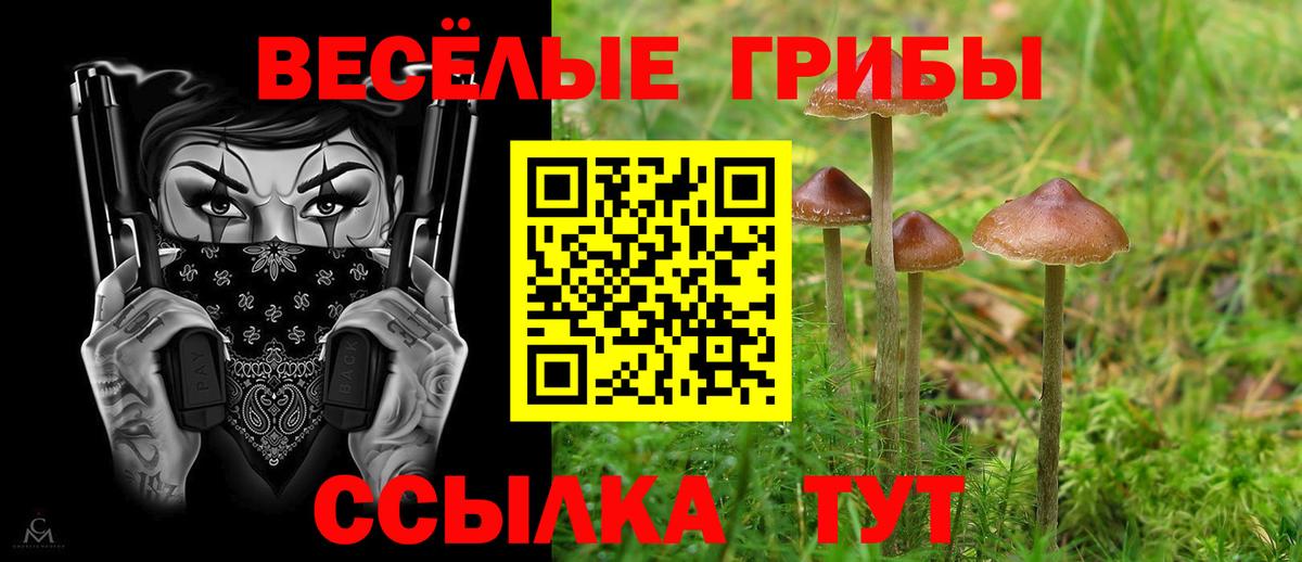 Галлюциногенные грибы MAGIC MUSHROOMS  Псилоцибиновые грибы MAGIC MUSHROOMS  Вход с VPN  Красногорск 